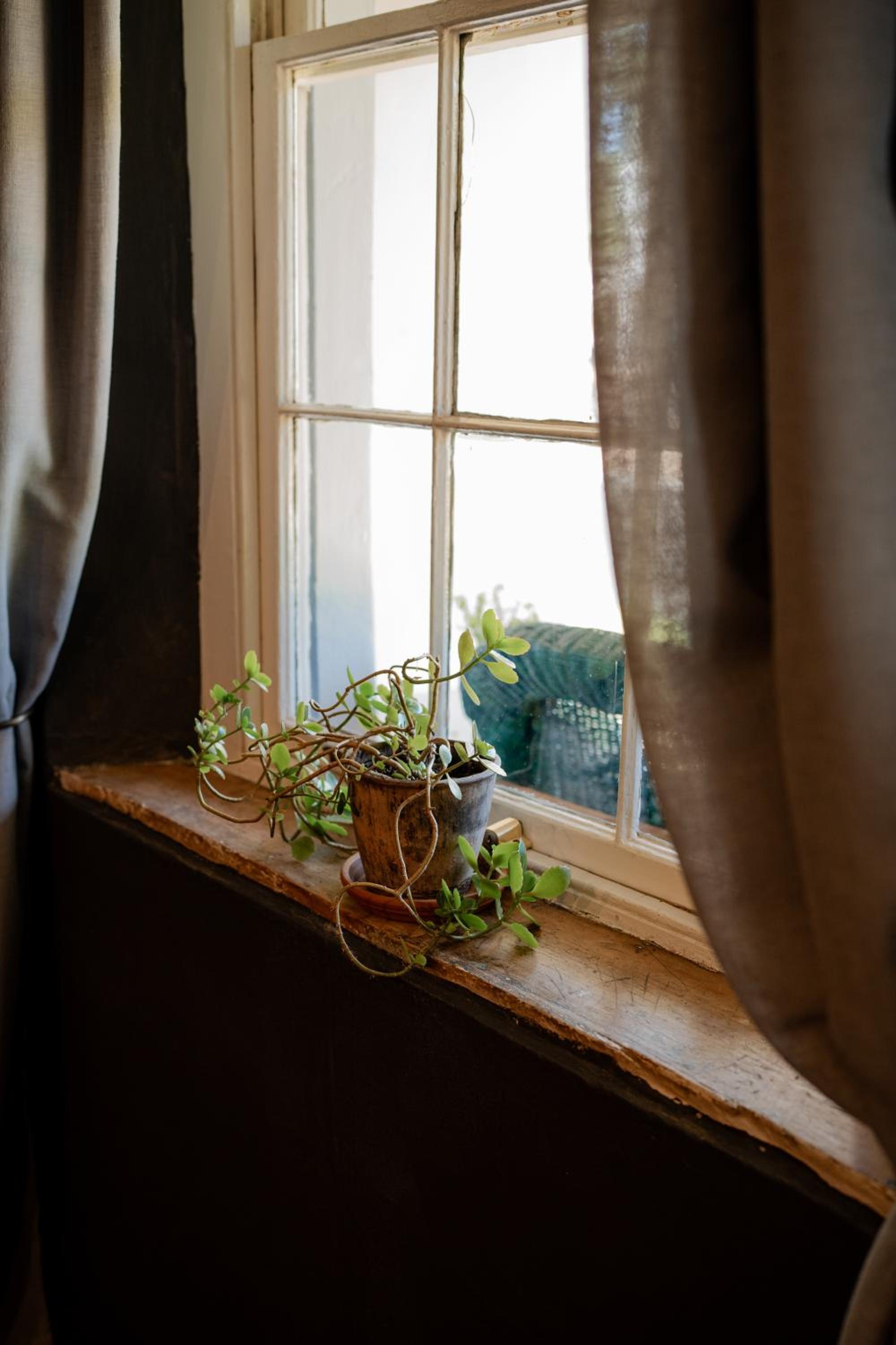 Elianthe Guesthouse