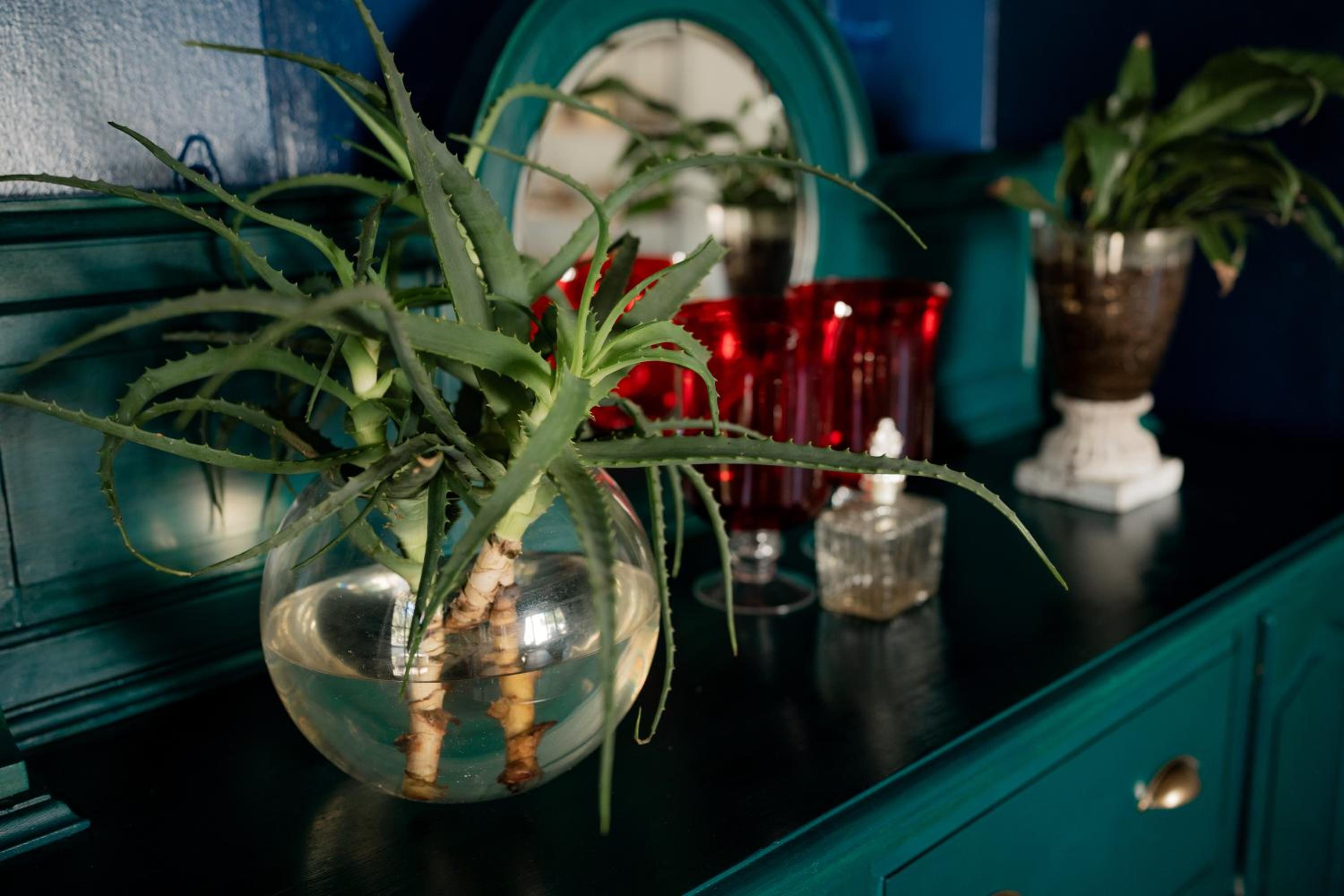 Elianthe Guesthouse