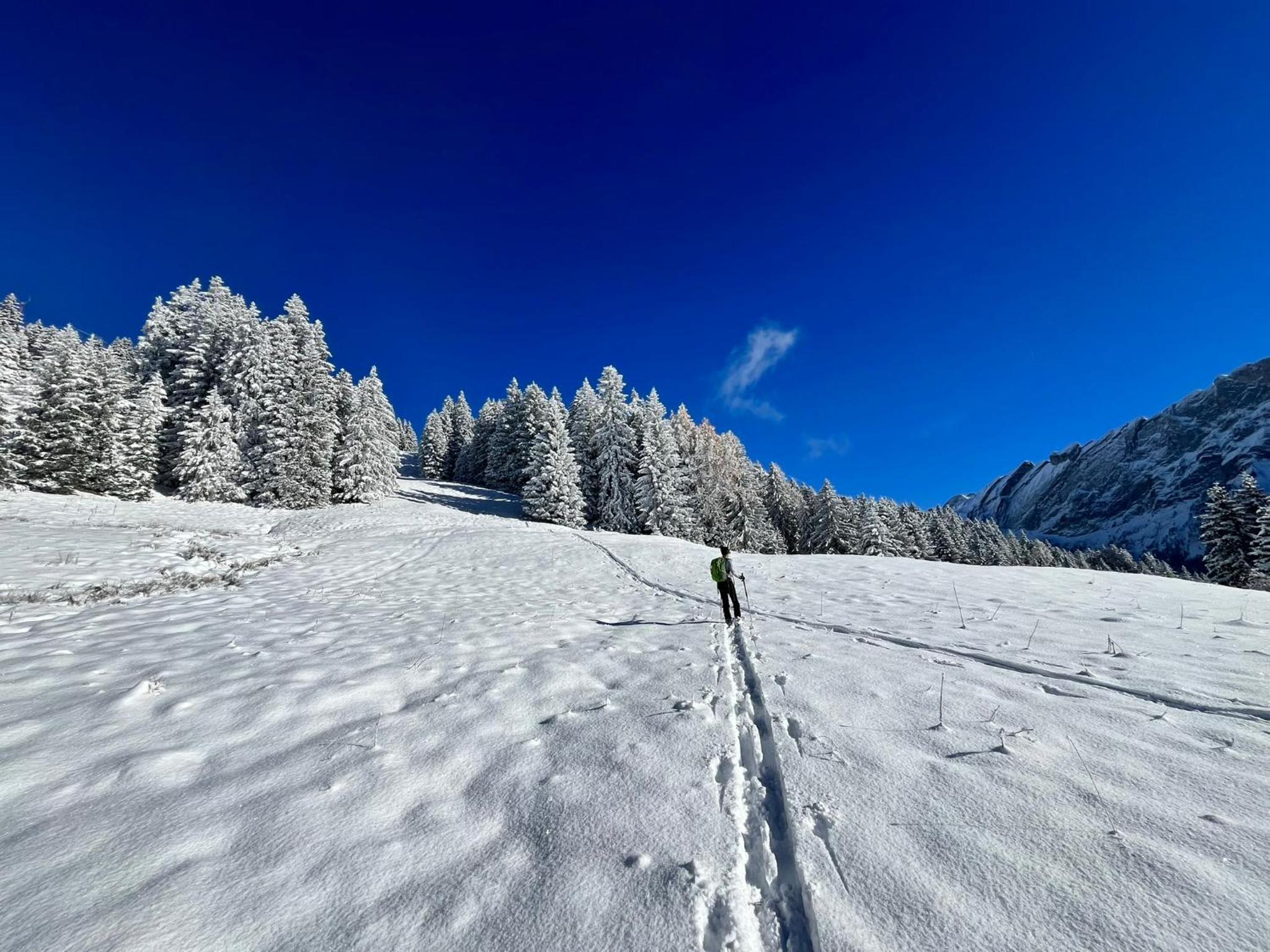 THE ALPINE STUDIO by the ski slopes & lake Frience