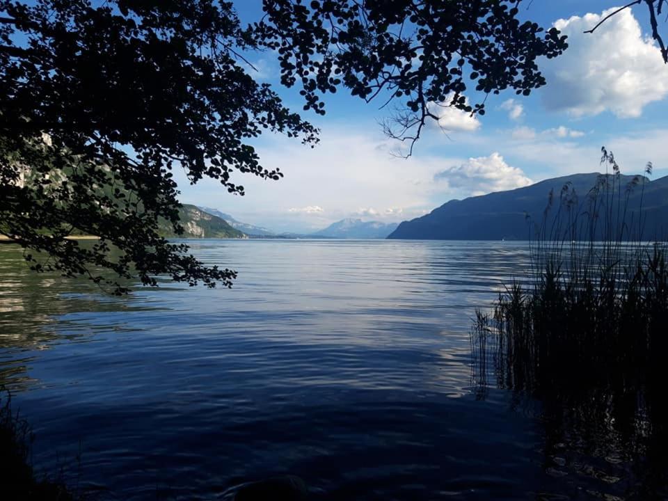 VALRELEY, chambres et table d'hôtes eco-friendly avec bain nordique au sud du massif du Jura