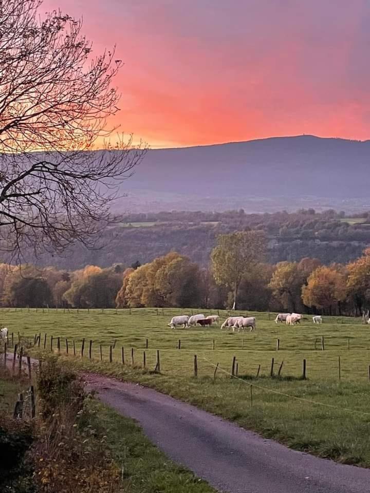 VALRELEY, chambres et table d'hôtes eco-friendly avec bain nordique au sud du massif du Jura