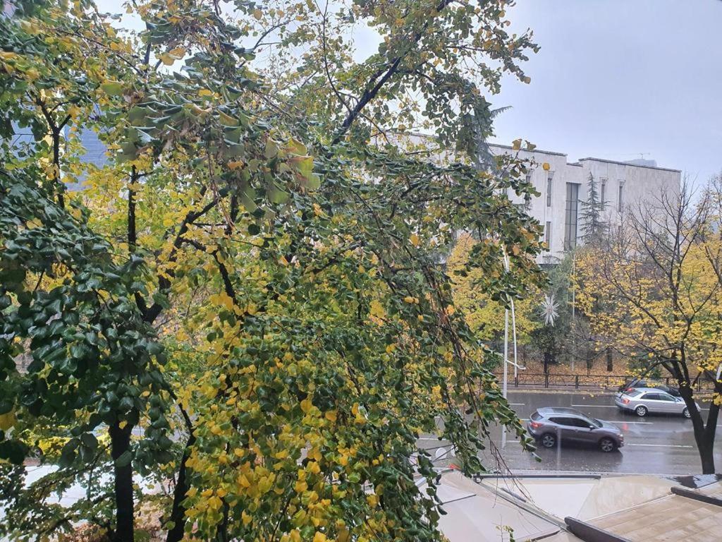 Entire nice apartment, in the center