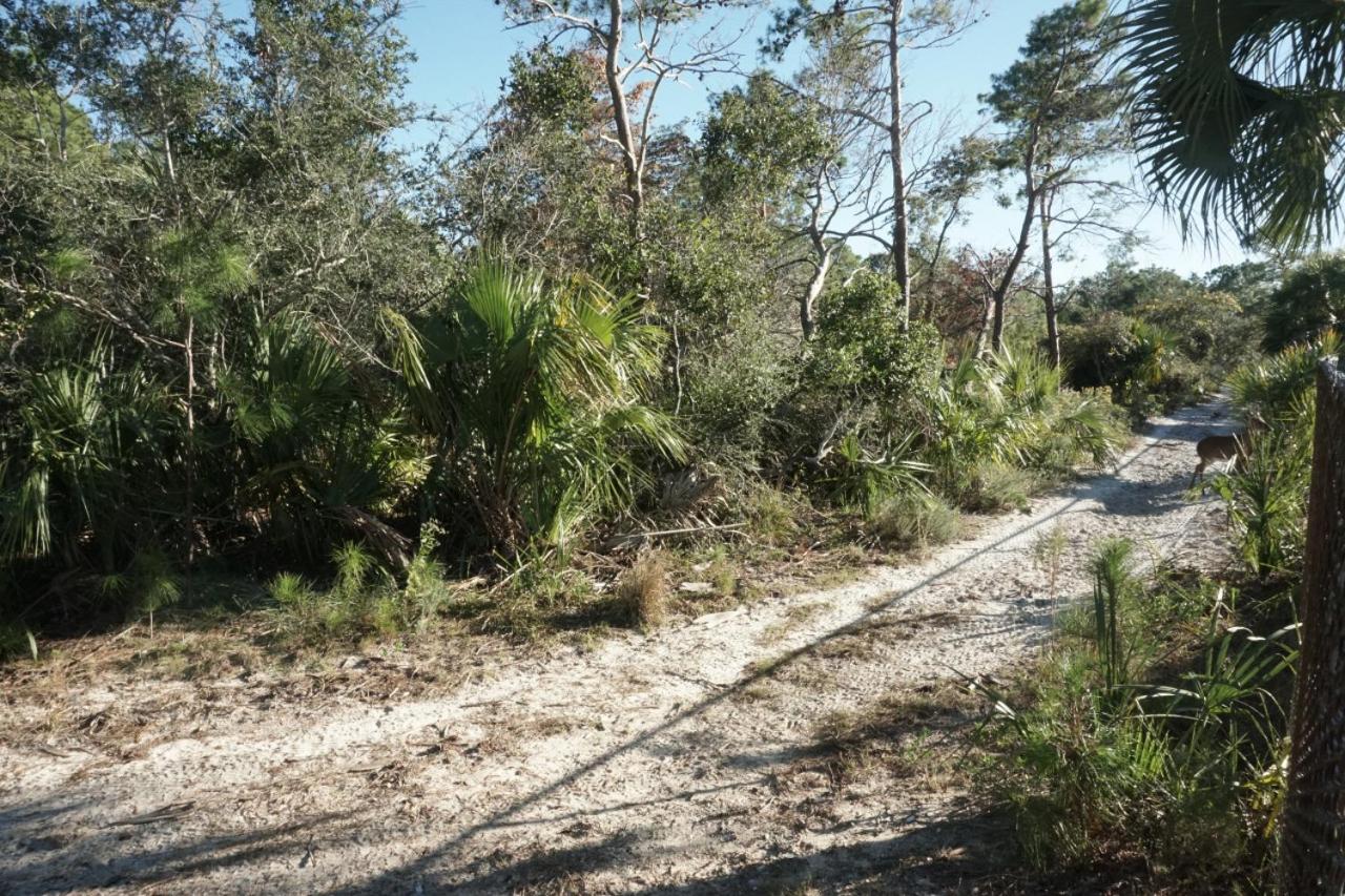 Photo 43