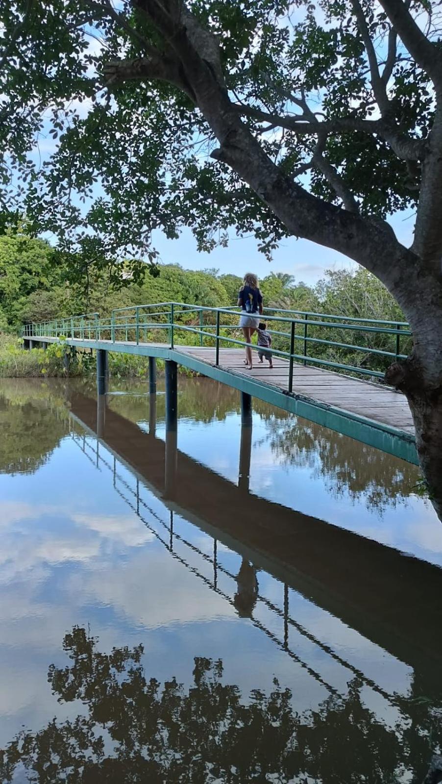 Casa de Tijolo Ecológico Diogo