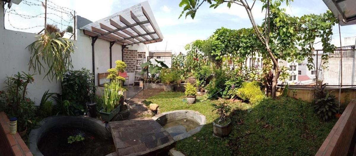 NeoMoritz Homestay view 4