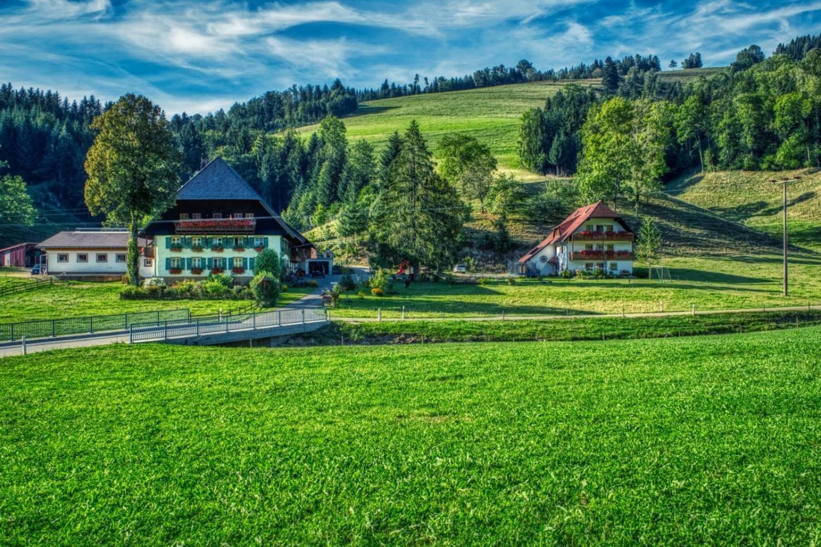 Schlegelhansenhof