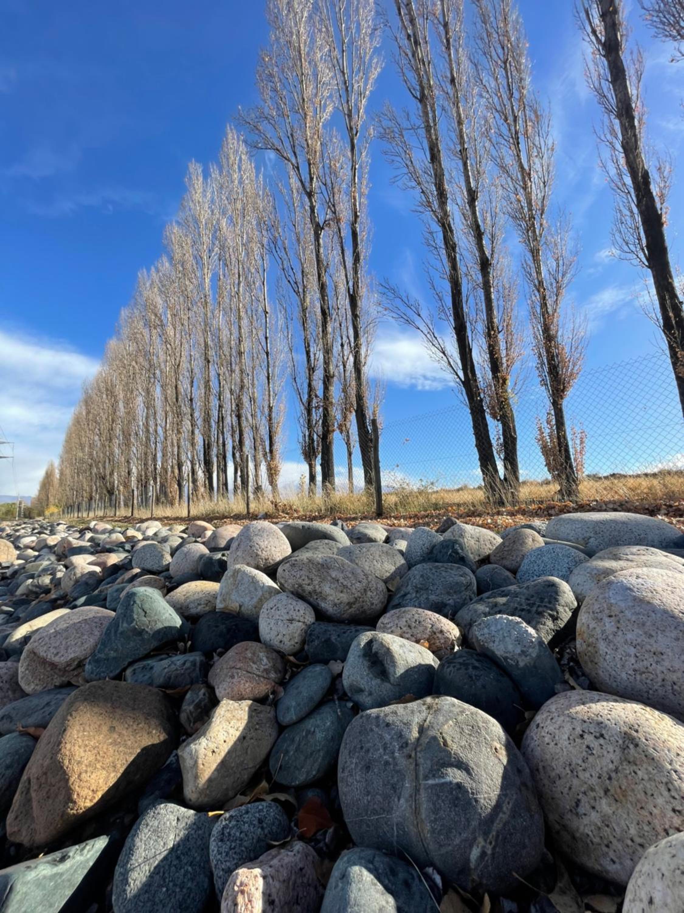 Casa de campo en Tupungato, Mendoza.