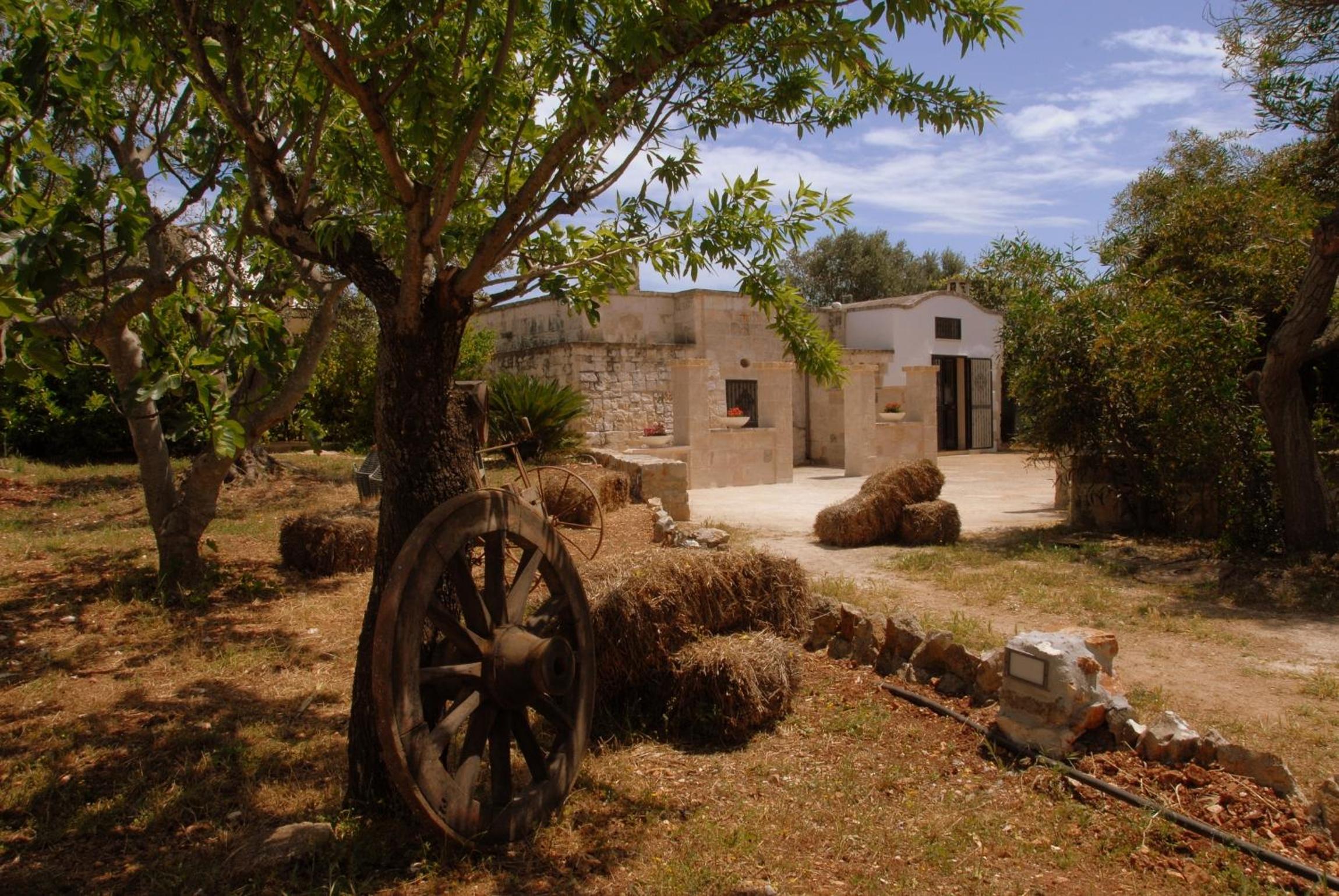 B&b Aurasia