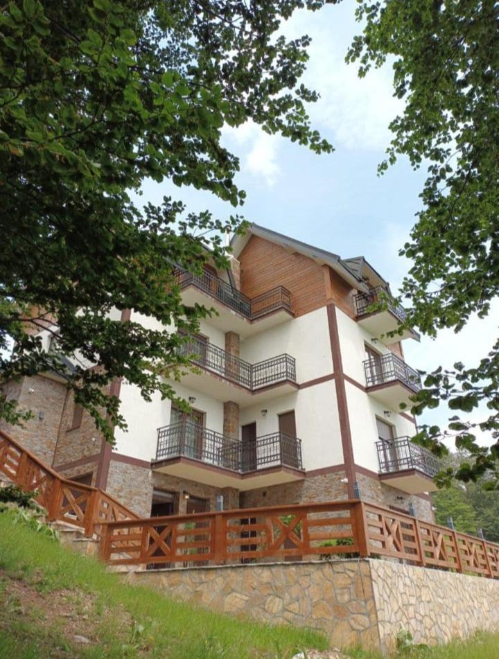 Photo 41