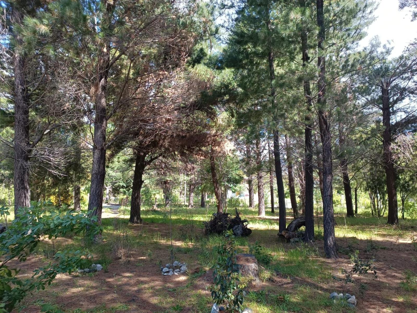 El Bungalow de Raúl
