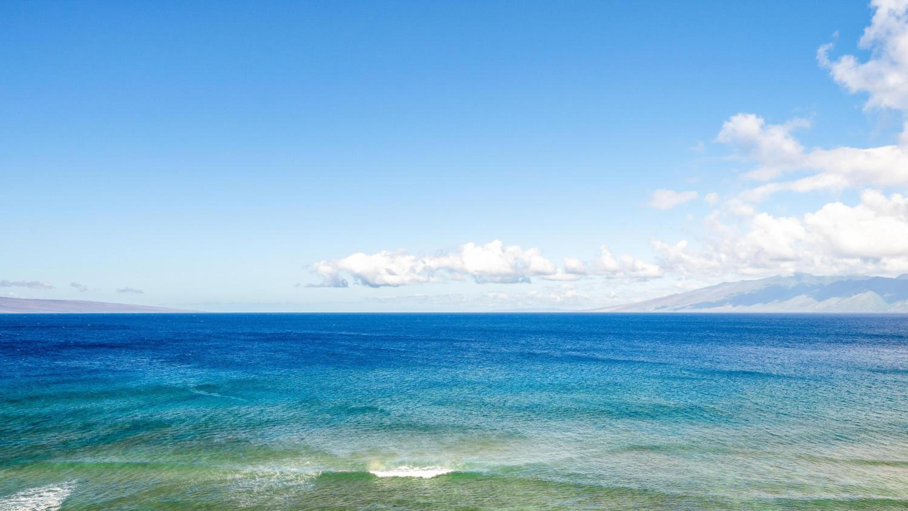 Maui Kai 505 · MK 505 Remodeled OceanFront Whale Watching