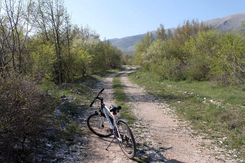 Vitovnicki Mir