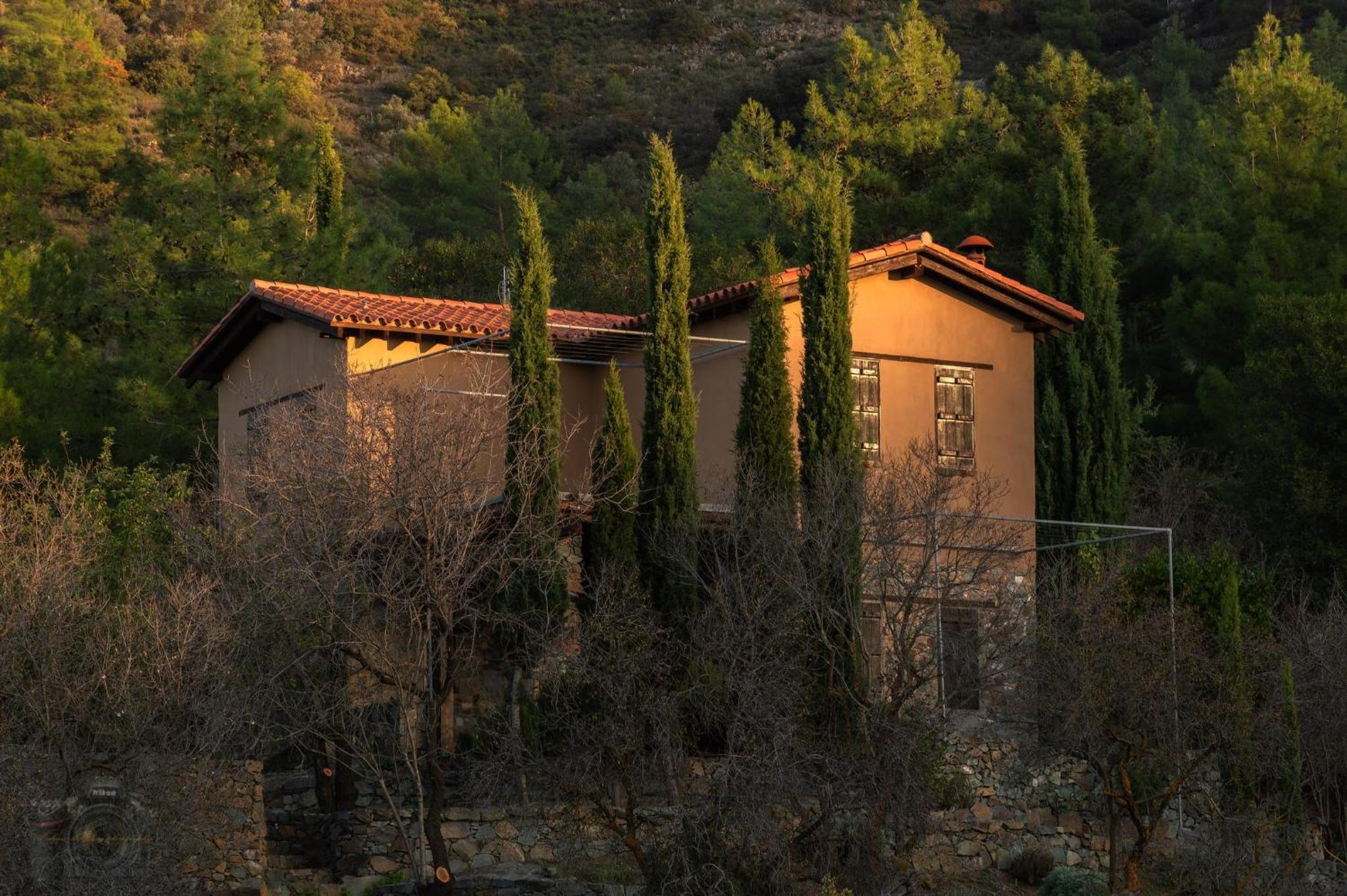 Hotel FIKARDOU ALMOND PARK - Image 1