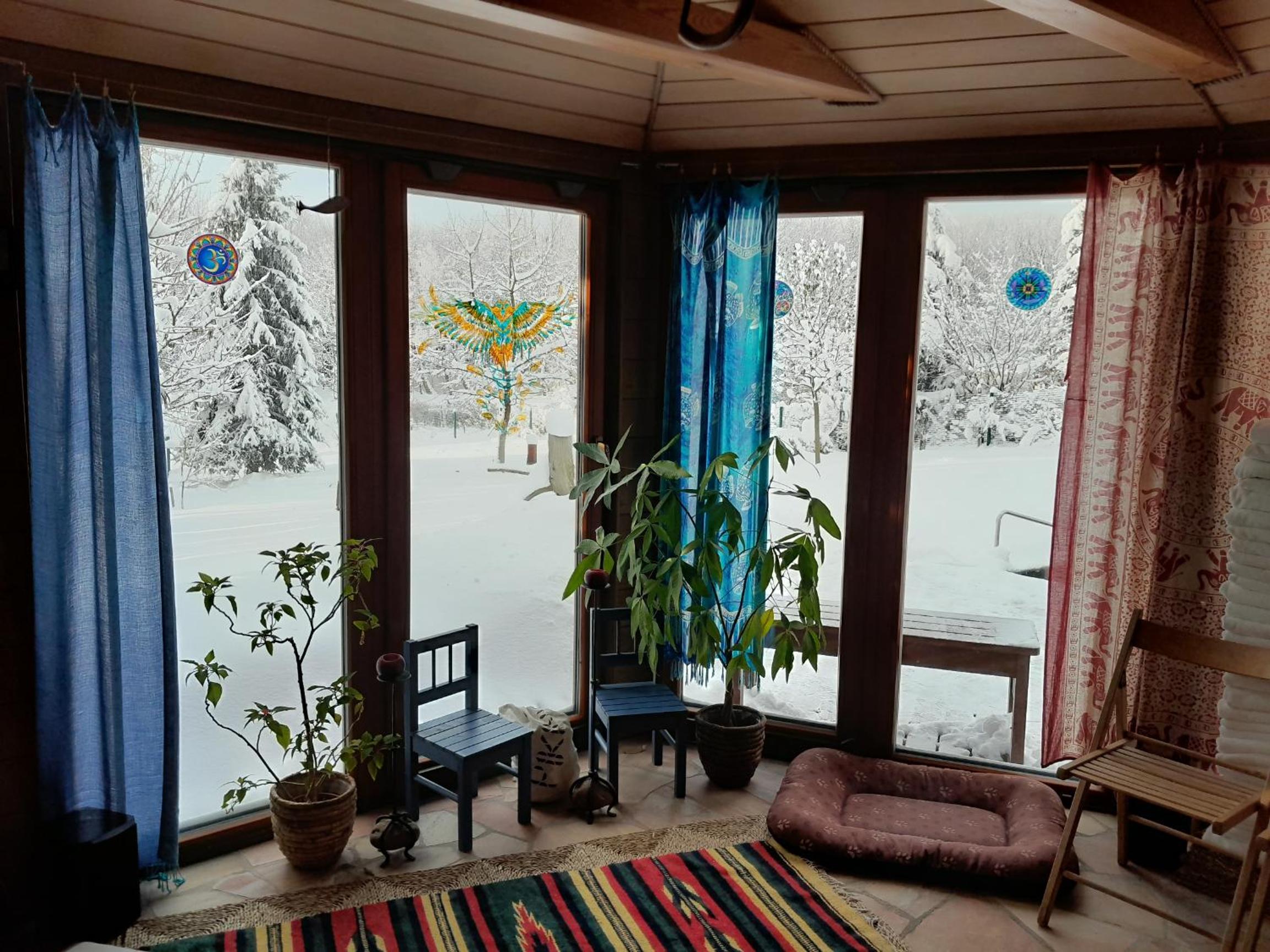 Guest House Sněžník