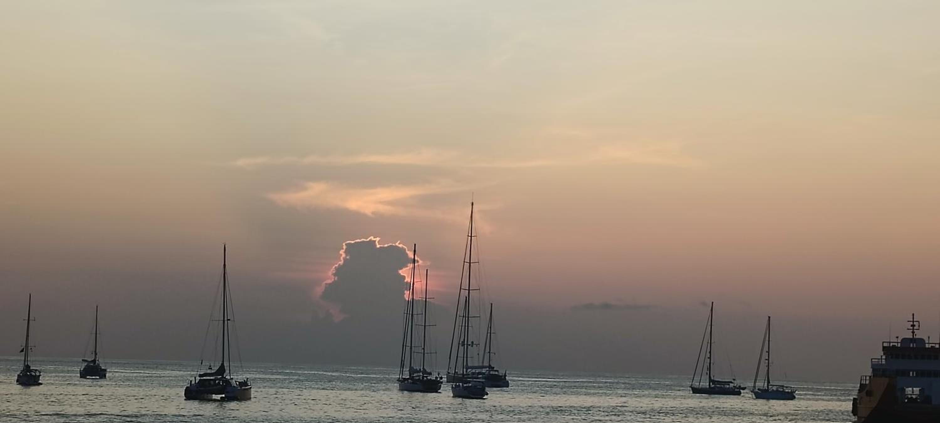 Mantarraya
