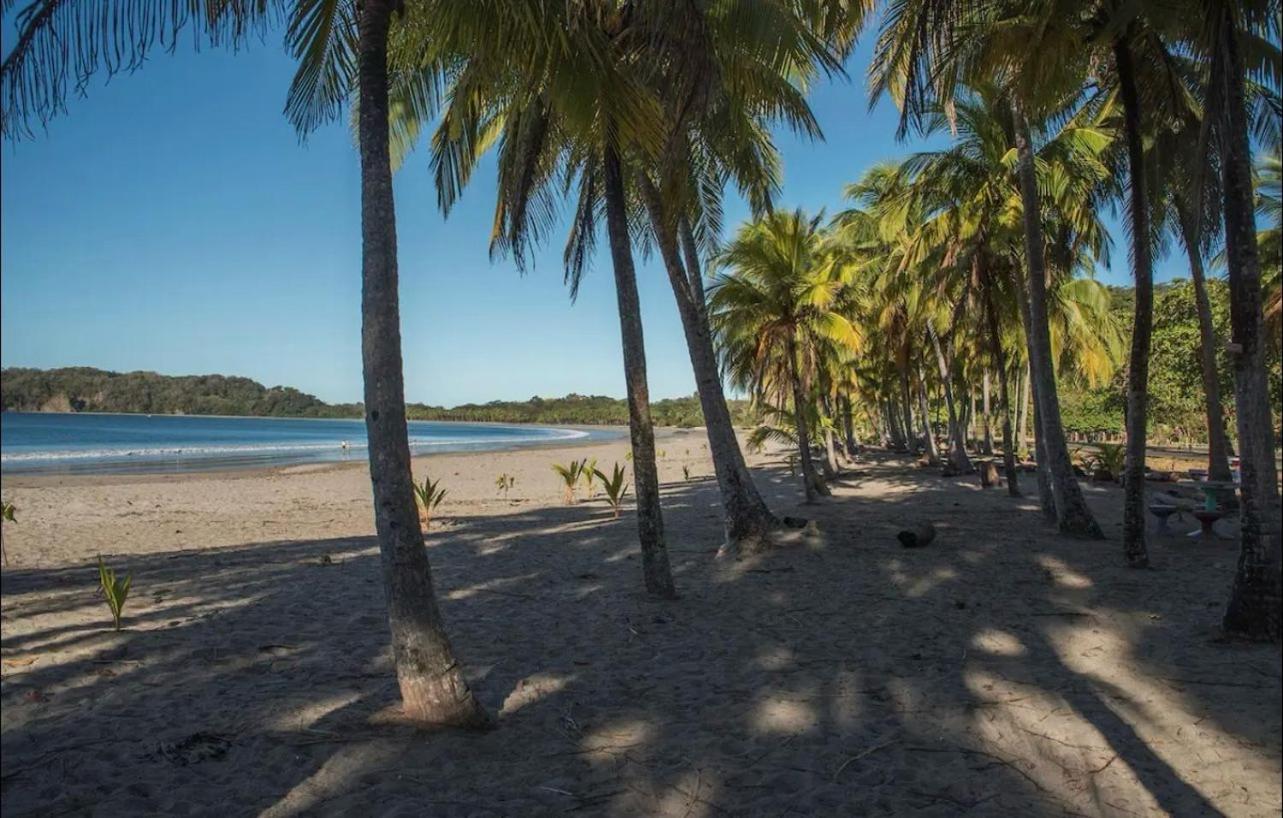 Casa Guarumo - An oasis in Playa Carrillo.