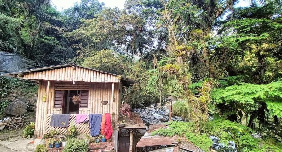 Eco Hostal La Batea De Los Colibries