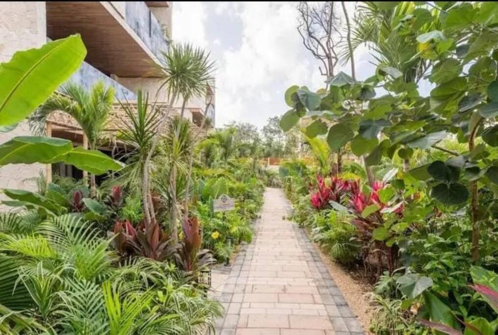 The Relaxation Paradise