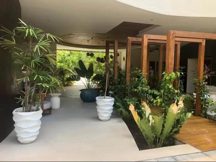 The Relaxation Paradise