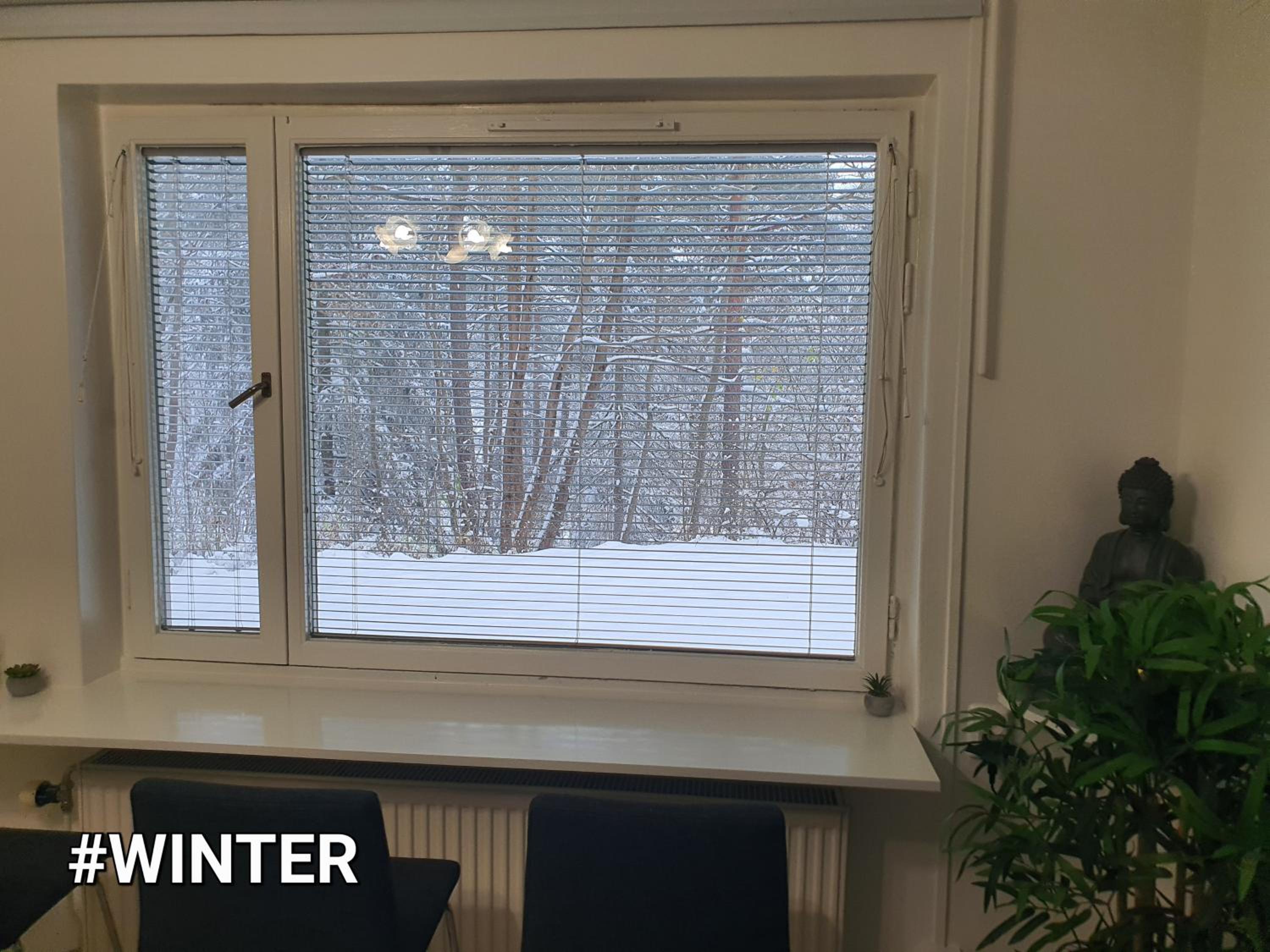 Close to the metro and the beach!!! with a view of the Scandinavian forest view 3