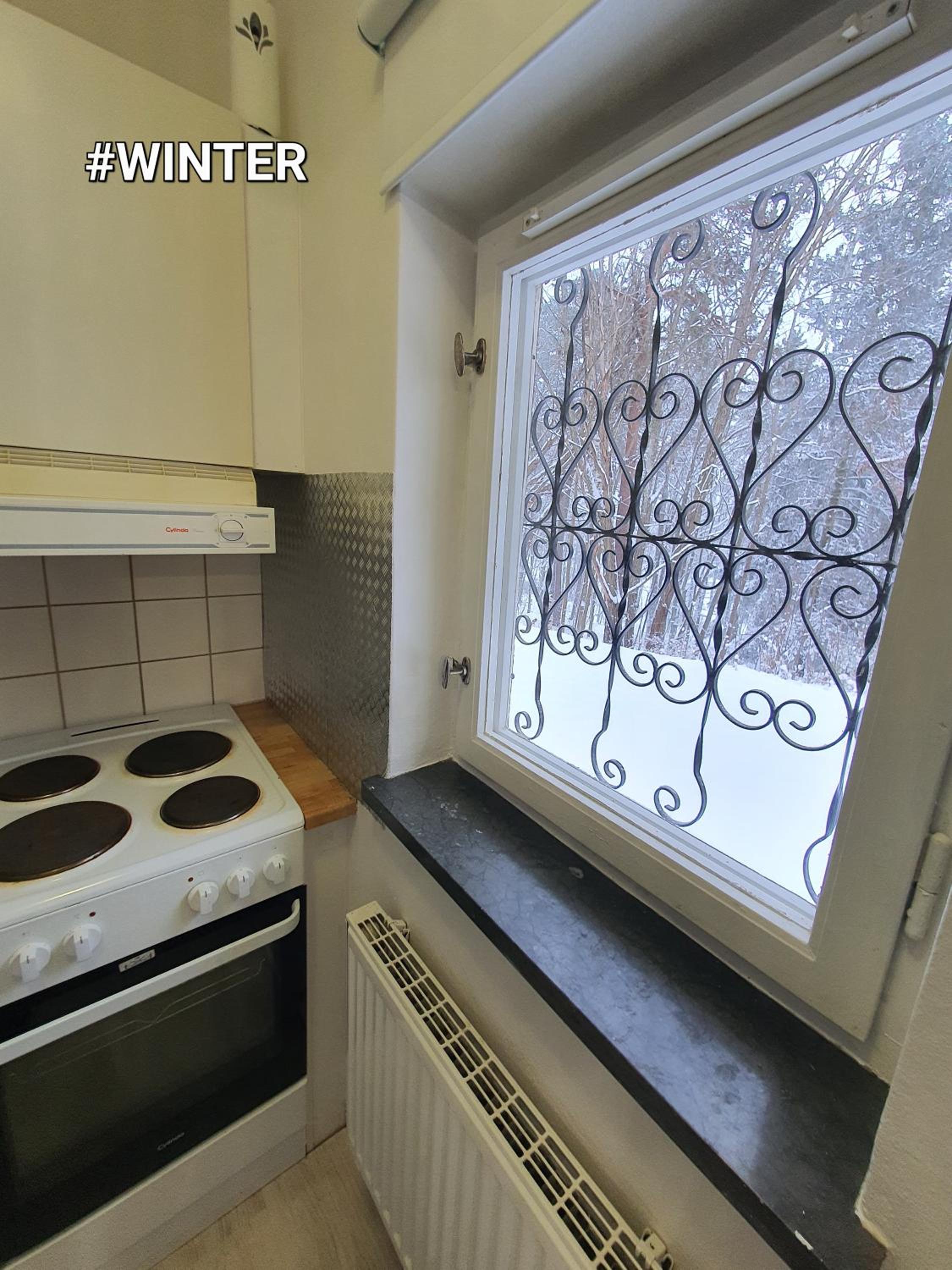 Close to the metro and the beach!!! with a view of the Scandinavian forest view 2