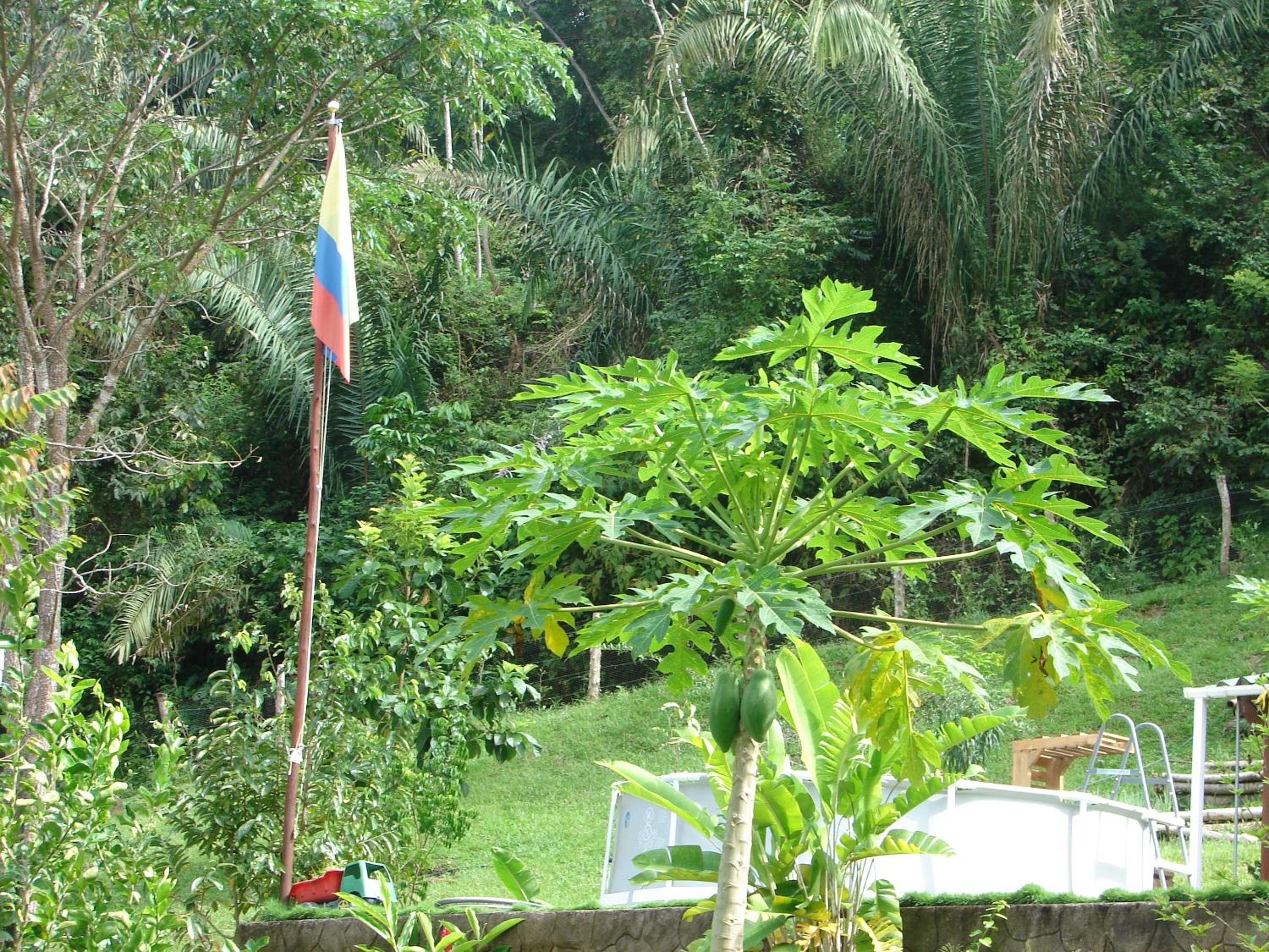 Casa Mapaná