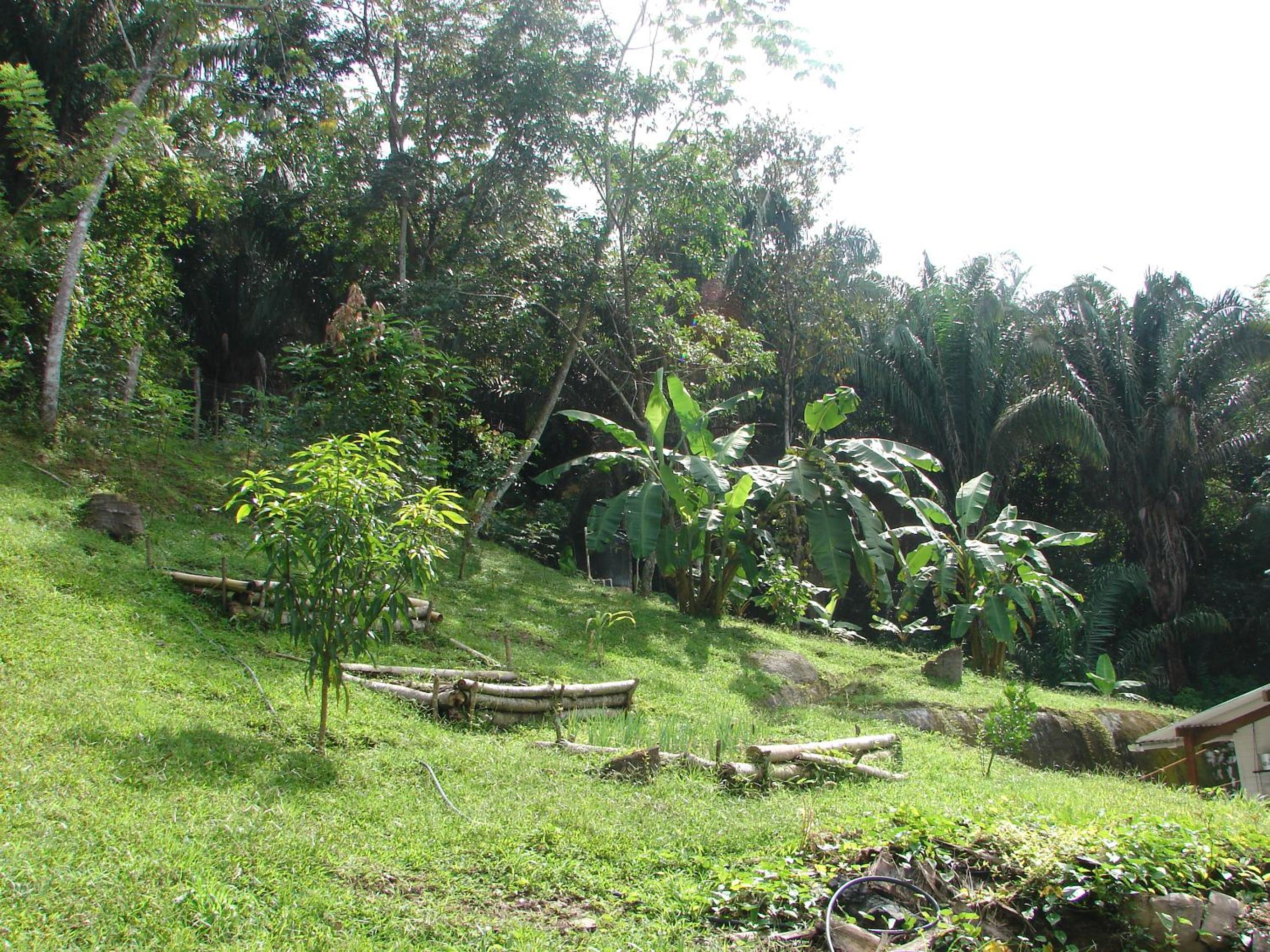 Casa Mapaná