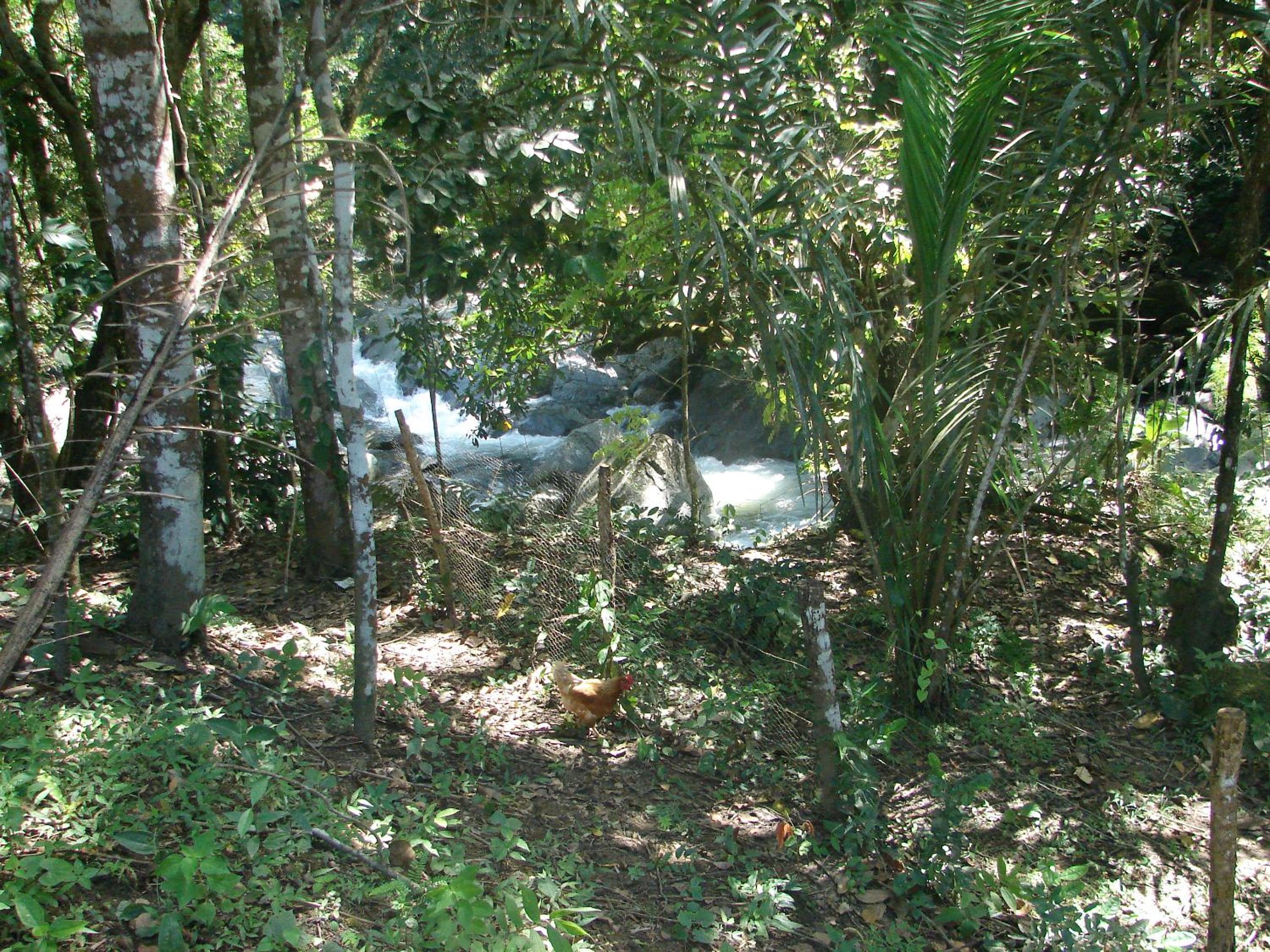 Casa Mapaná