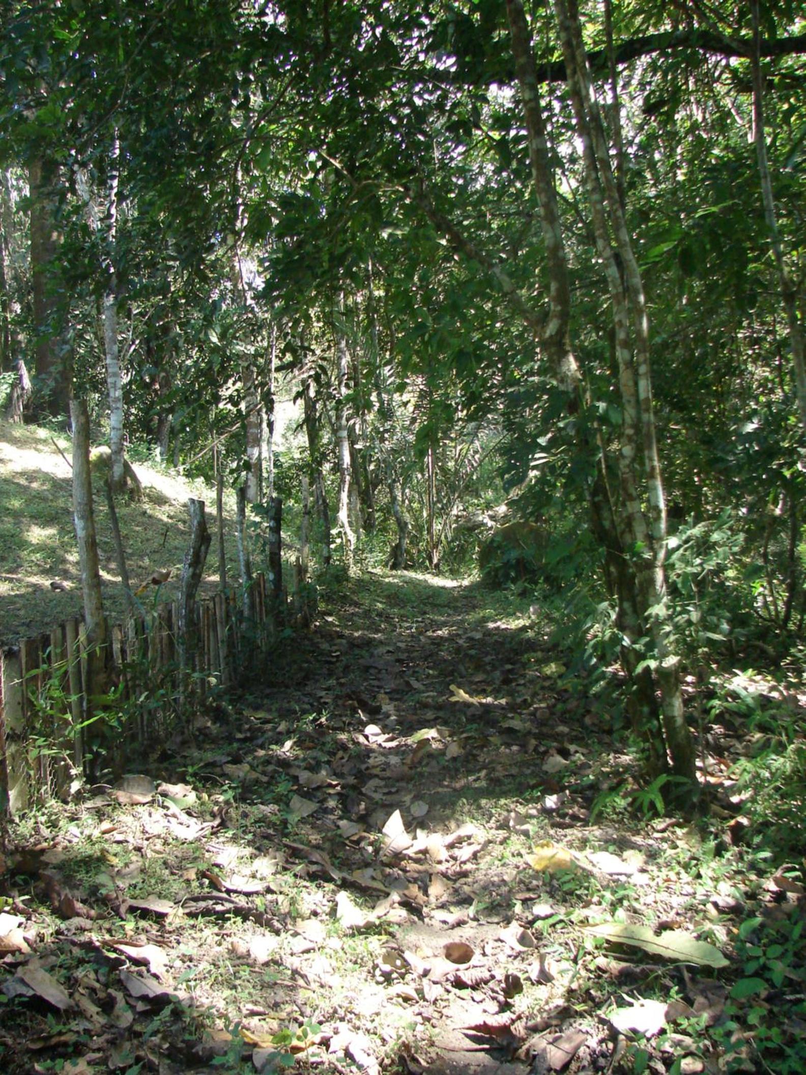 Casa Mapaná