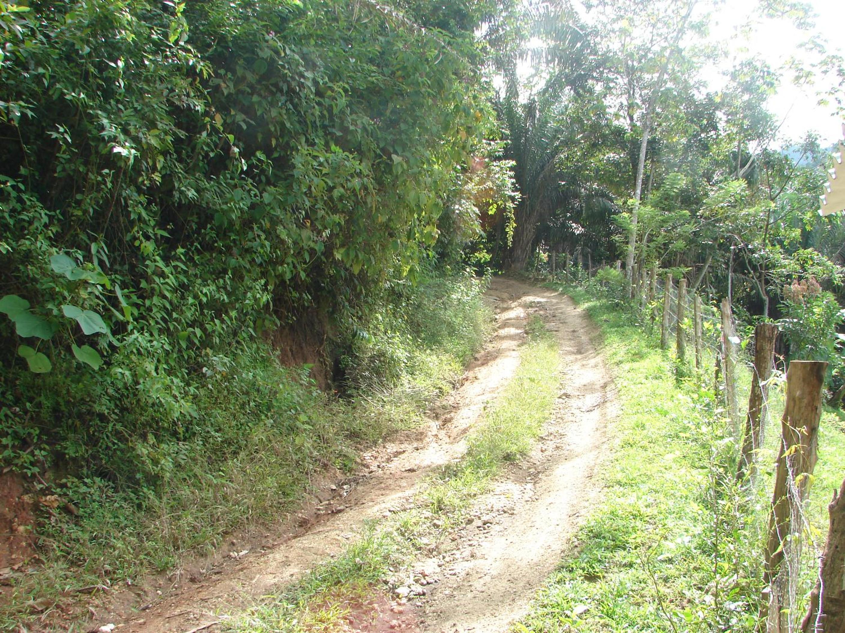Casa Mapaná