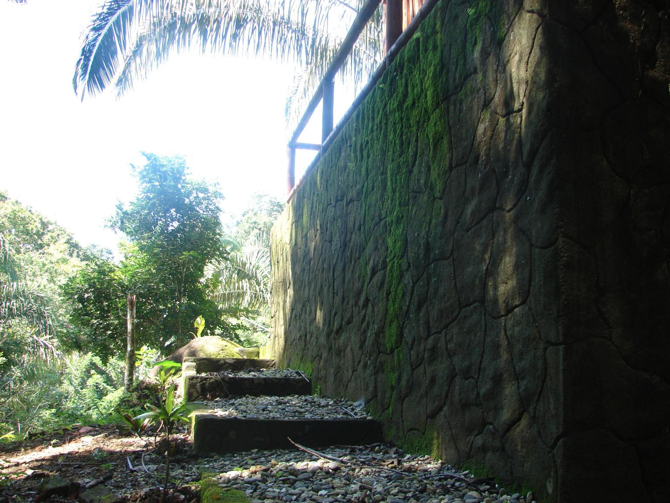 Casa Mapaná