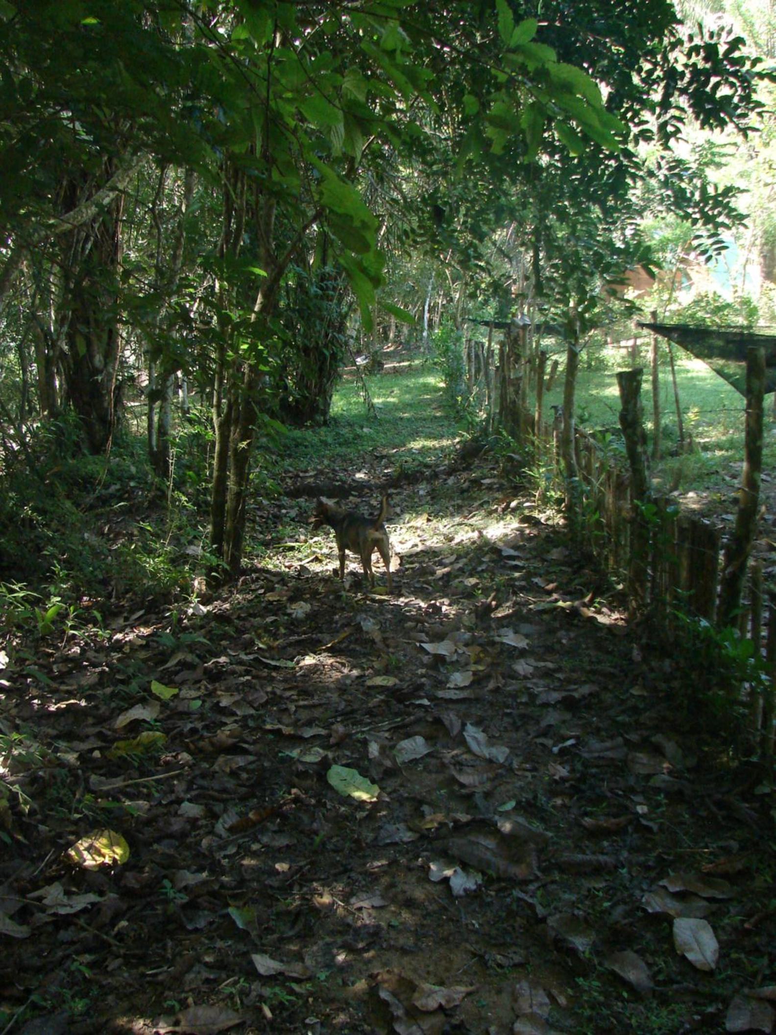 Casa Mapaná