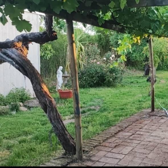 Hostal Fernanda