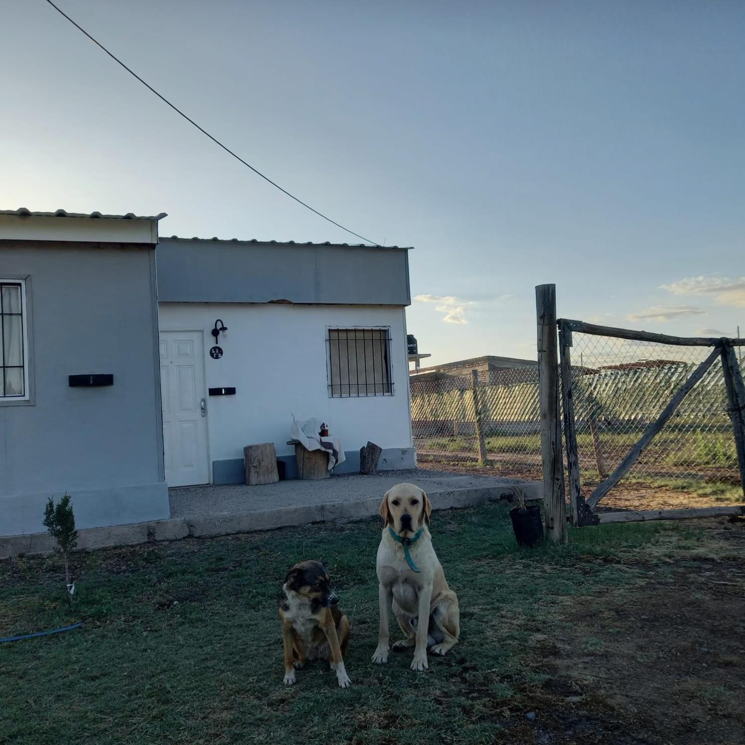 CABAÑA CONFORT