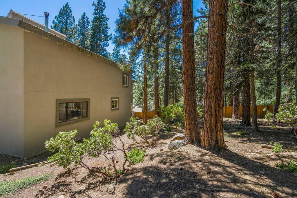 Spacious North Shore retreat. view 5