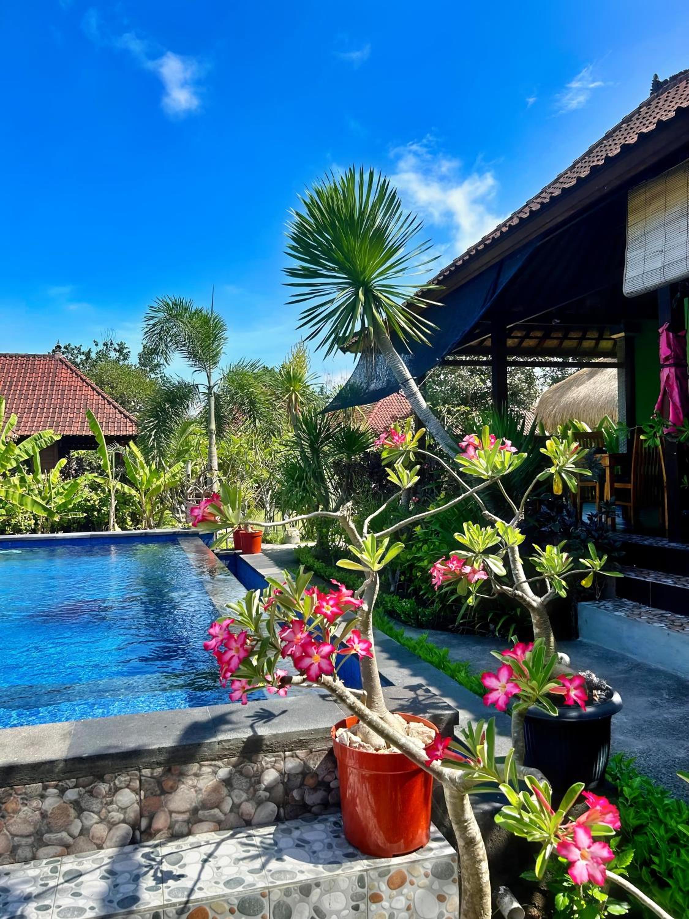 Island Garden Huts Lembongan view 5