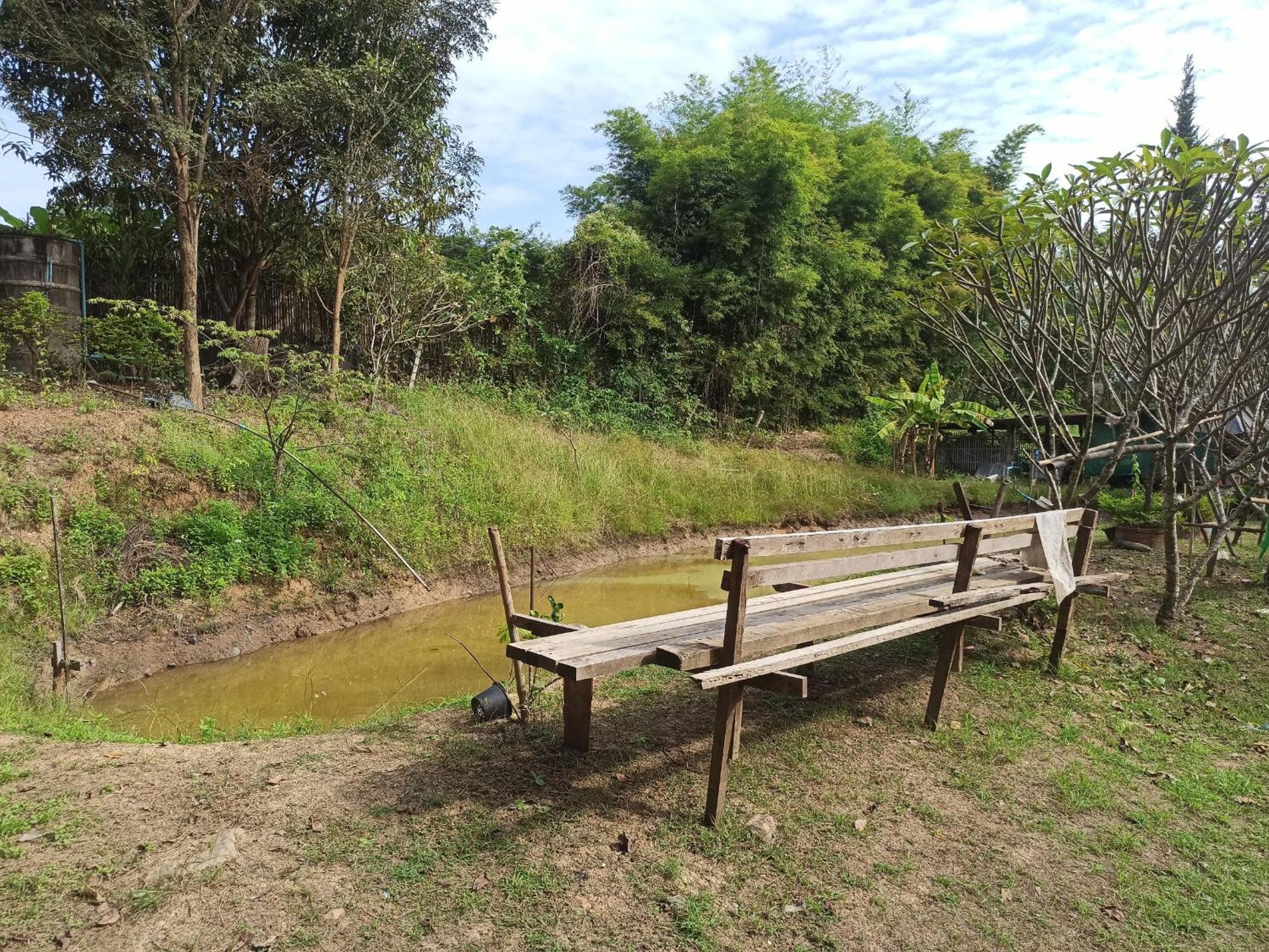 Pai Forest Resort