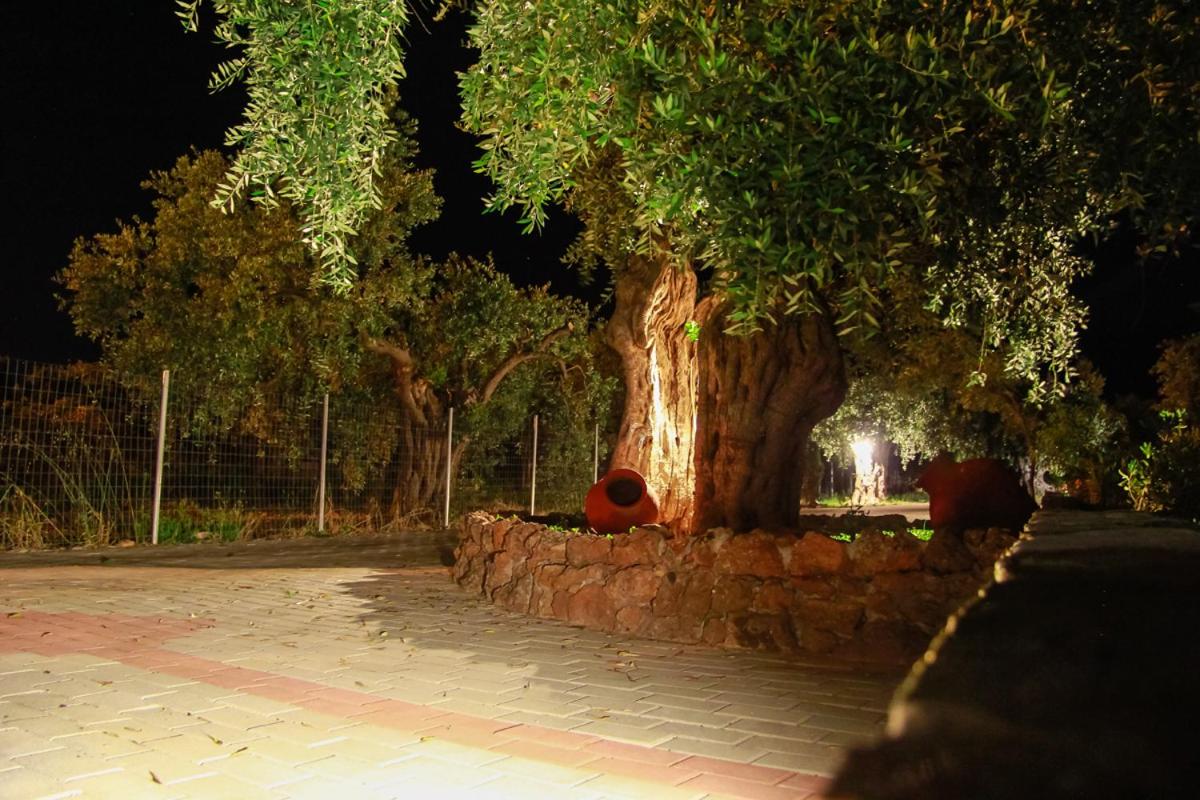 Studios Elianthos