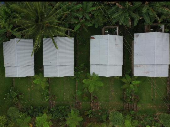 The Geckos Homestay