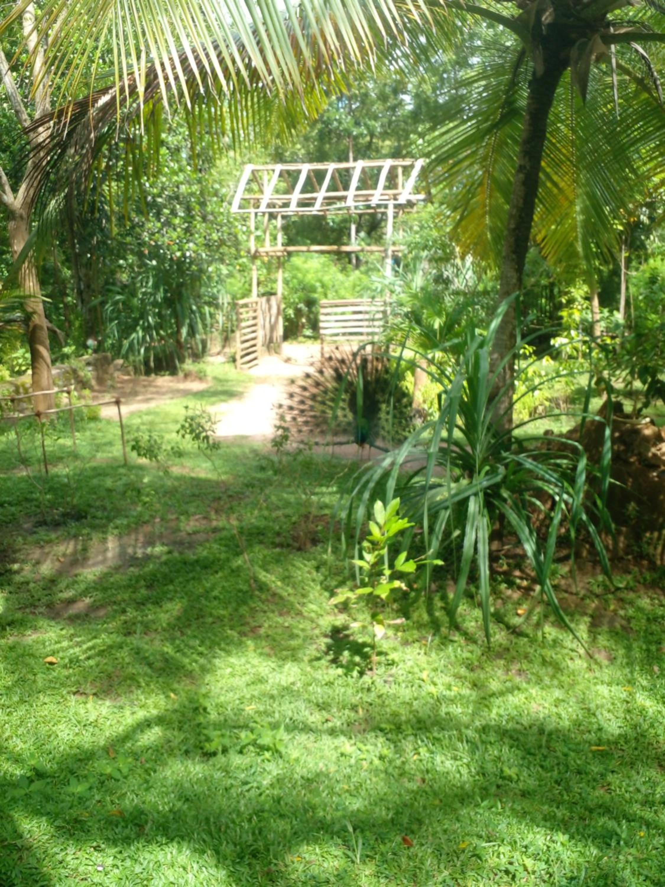 Photo 23