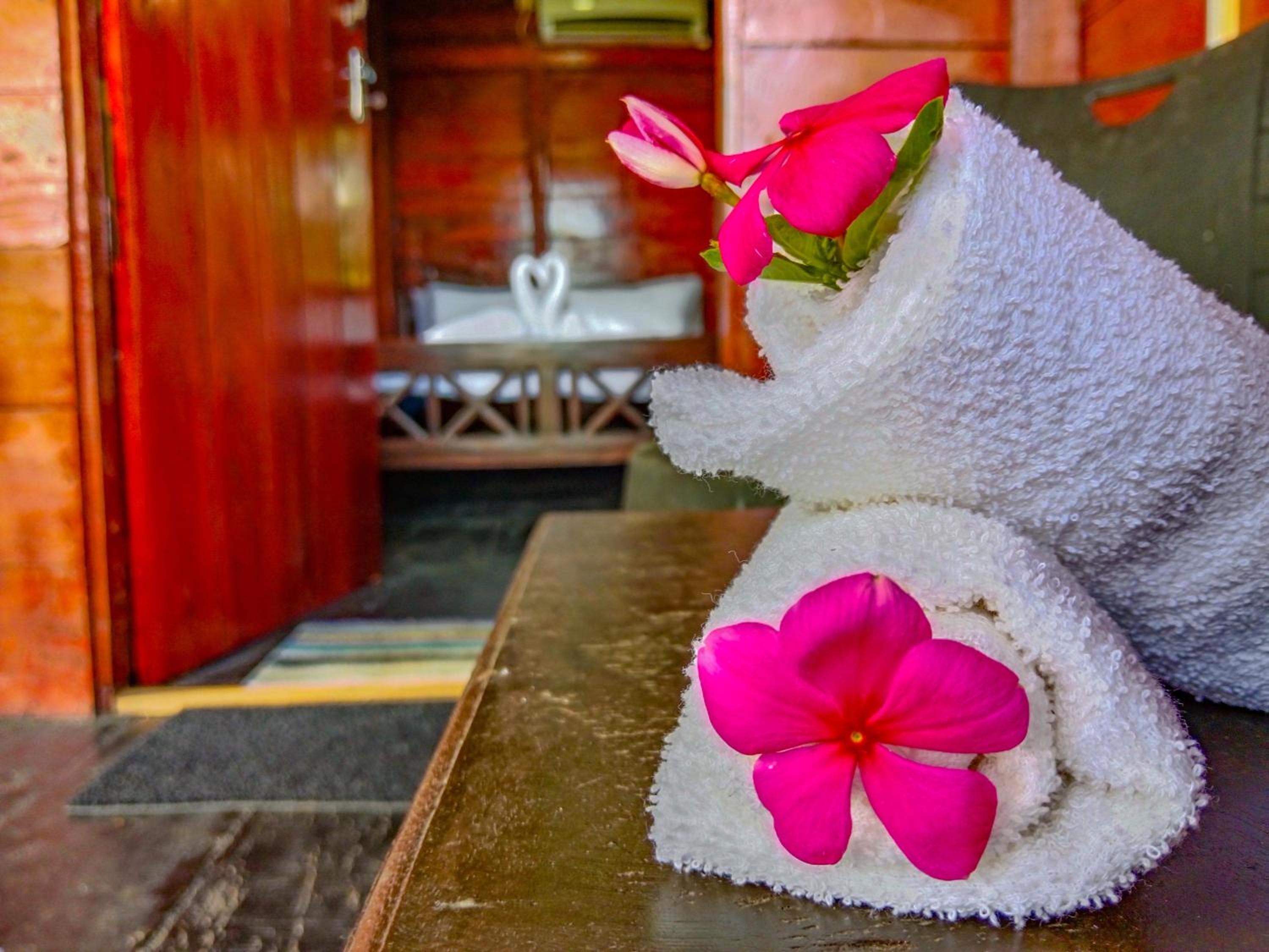 Ceylon Amigos Eco Resort view 2