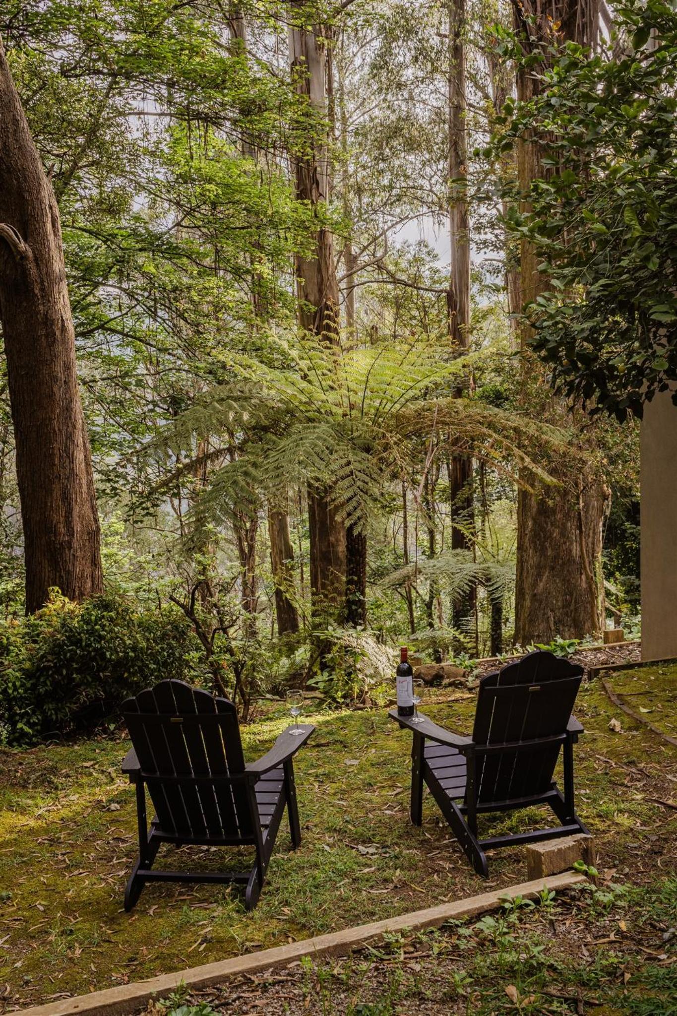 Modern Seednest Treehouse, Forest & Mountain View