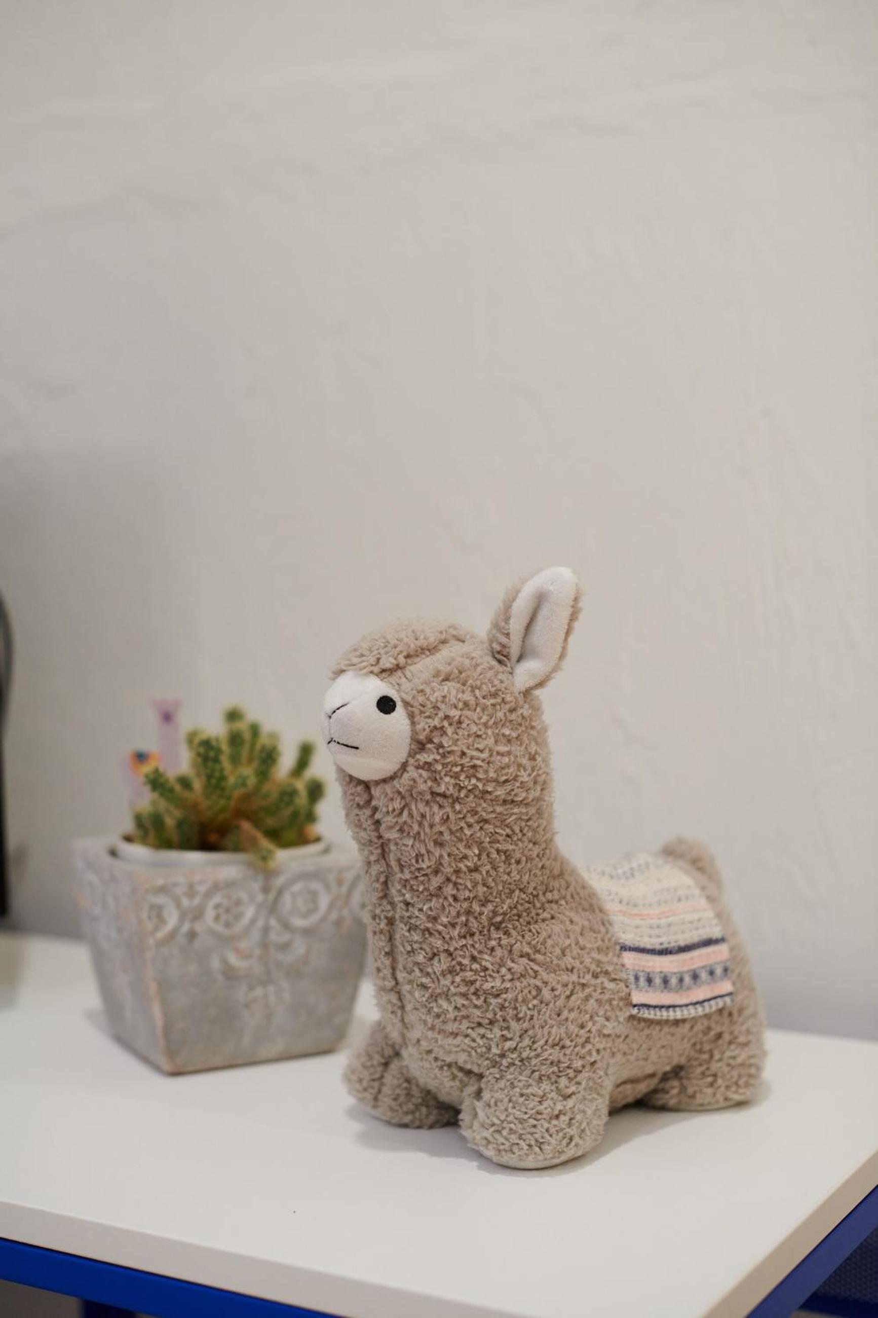 Photo 43