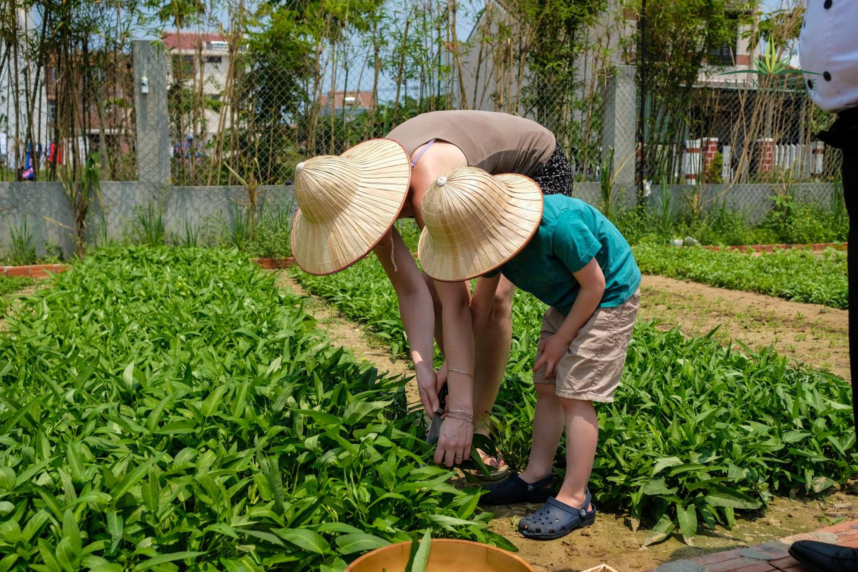 Silk Sense Hoi An River Resort - Green Luxury Escape