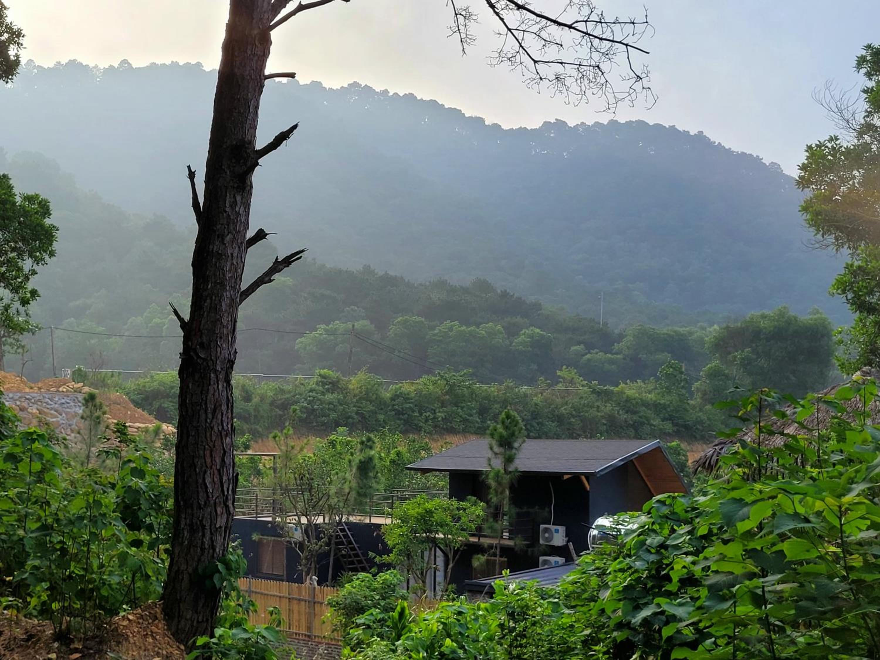 other