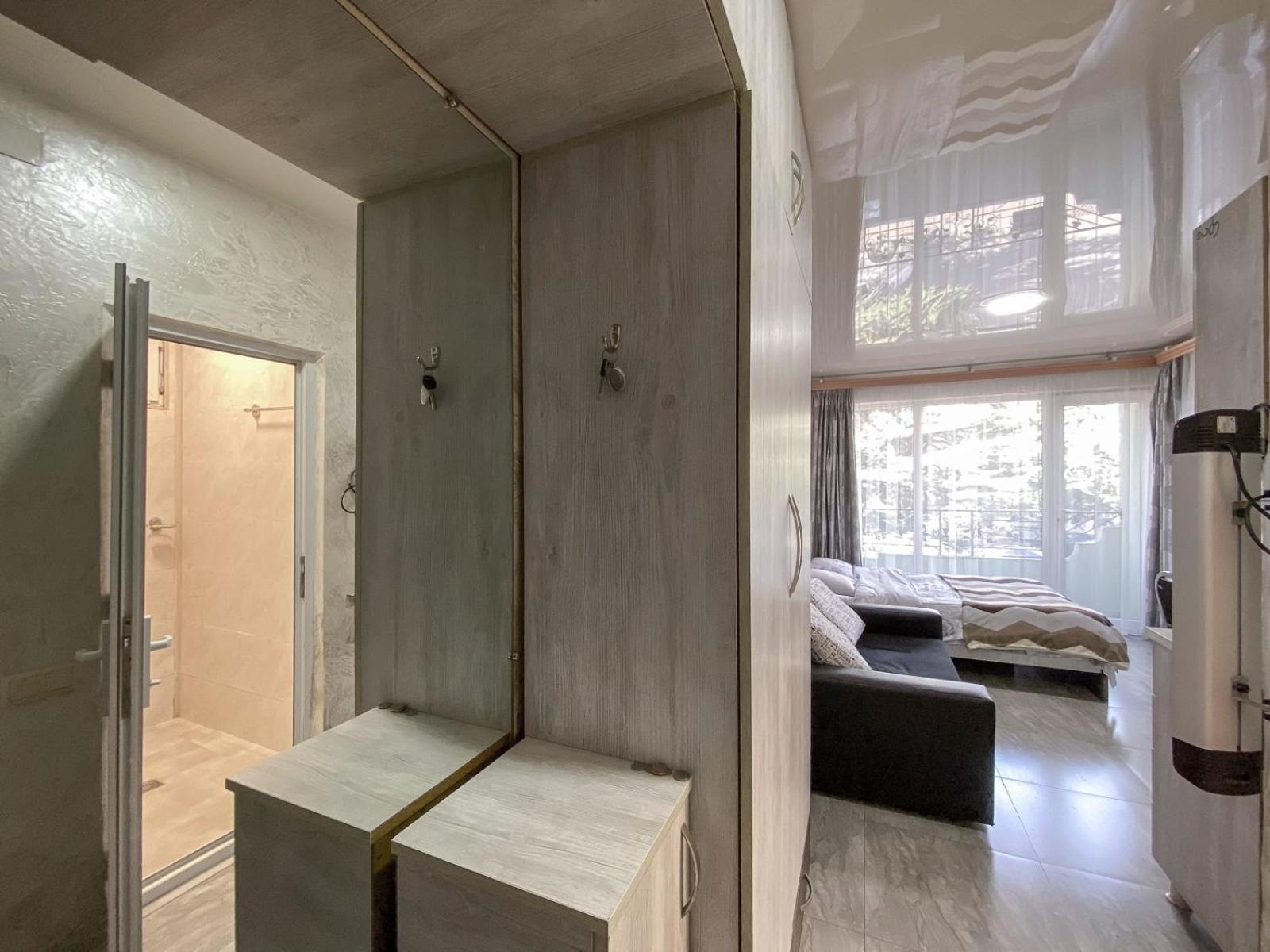 Apartment studio maksim view 2