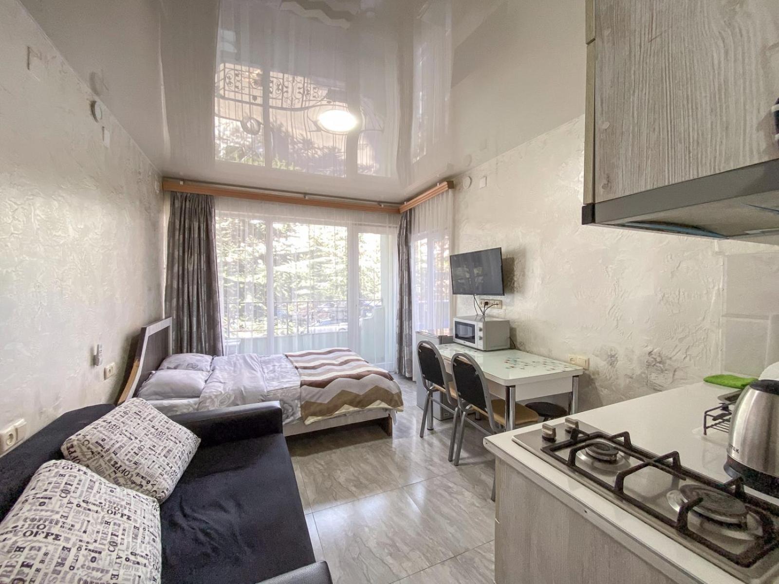 Apartment studio maksim view 4