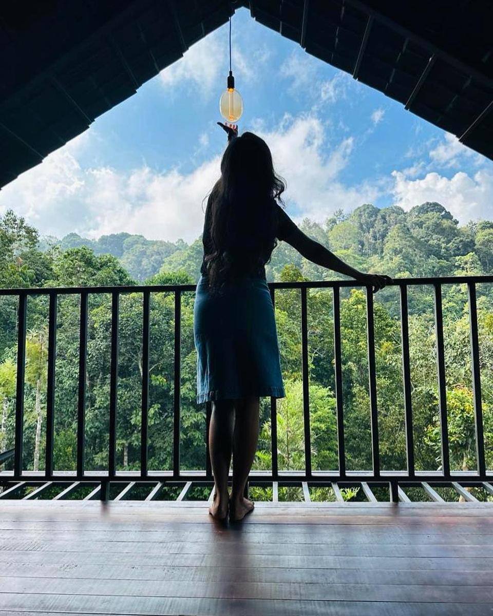 Tree House Wayanad view 5