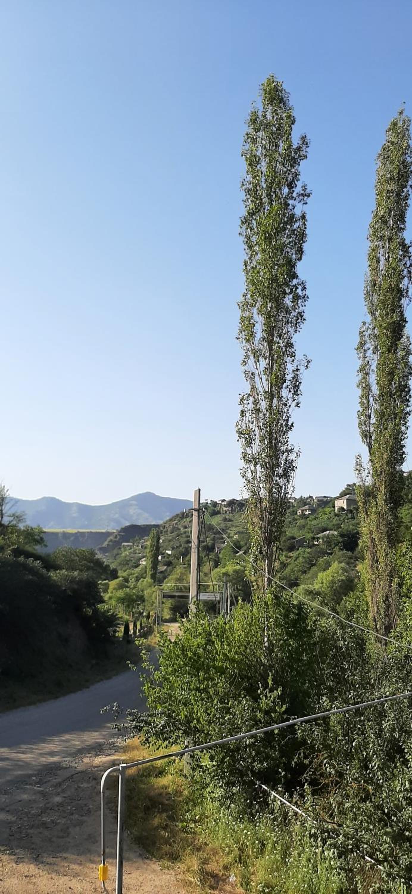 Shen toon guesthouse