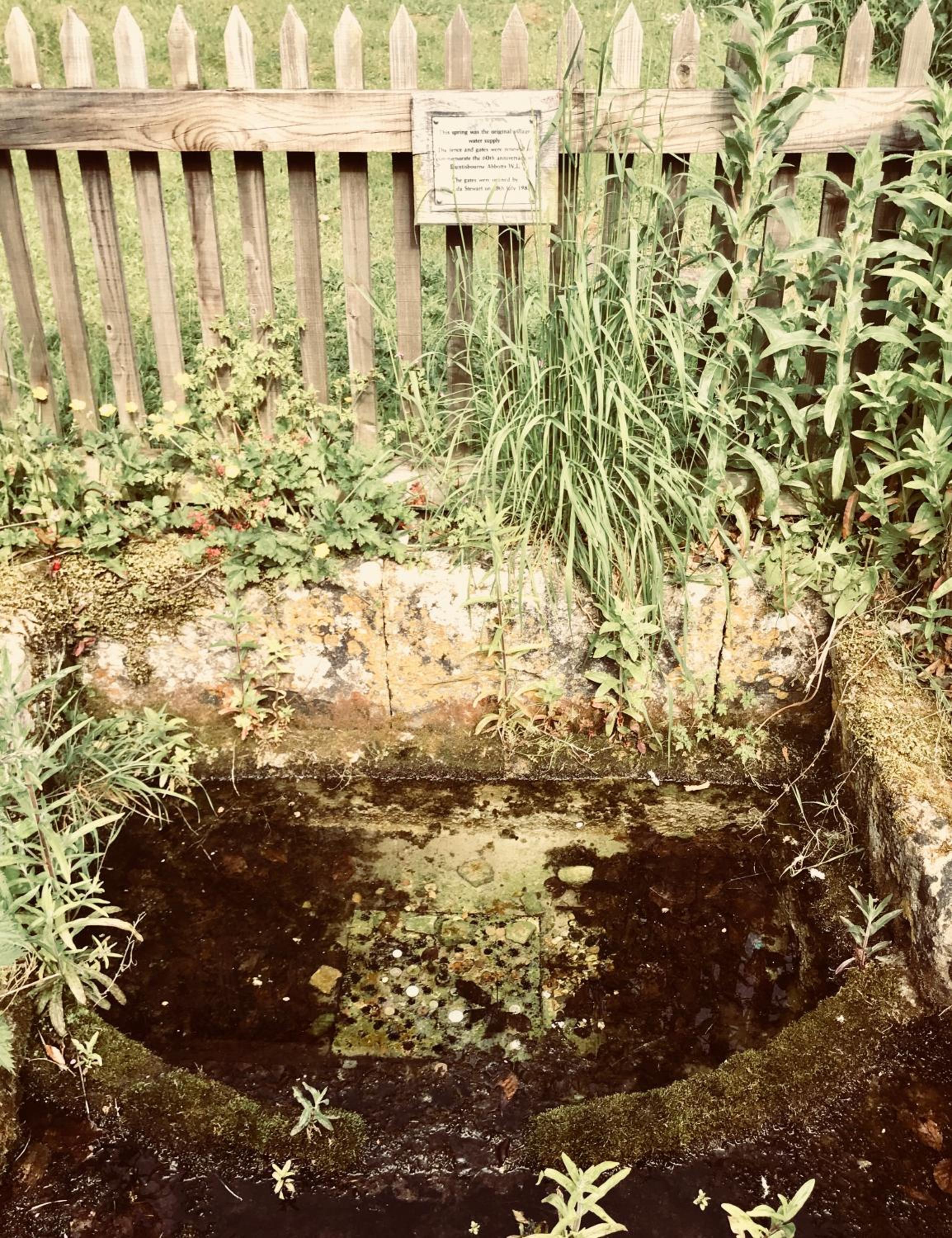 Photo 27